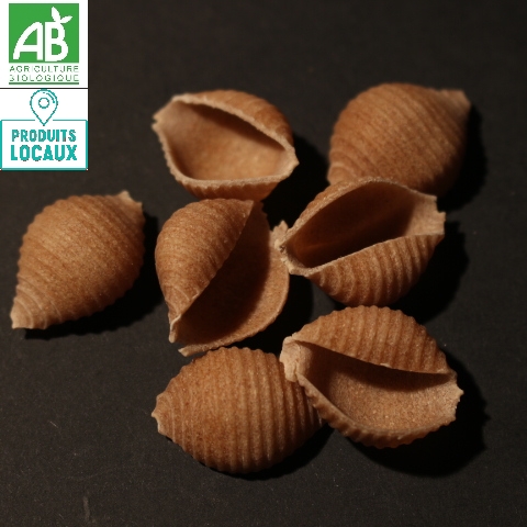 pâtes coquillages