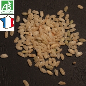 riz long semi-complet