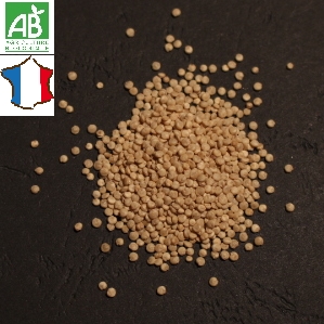 quinoa