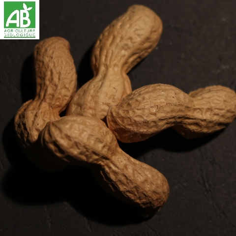 cacahuètes en coques